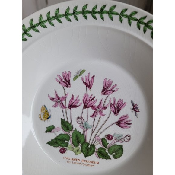 Portmeirion Botanic Gardens AS IS Ivy Leaved Cyclamen 8" soup salad bowl‎ - Picture 4 of 10
